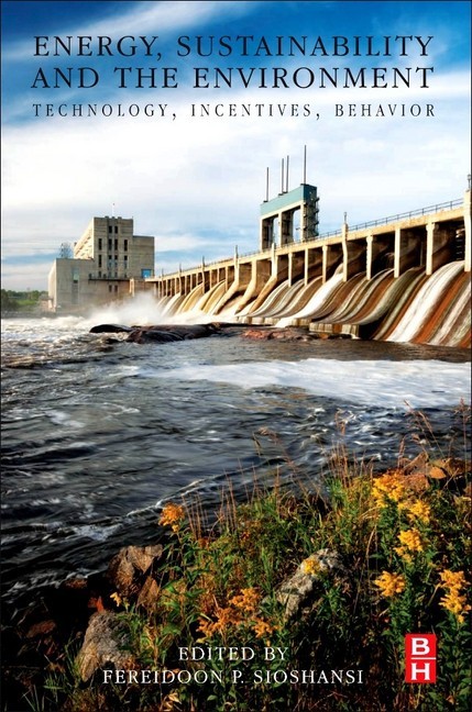 Energy, Sustainability and the Environment main product photo