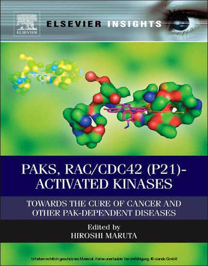 PAKs, RAC/CDC42 (p21)-activated Kinases main product photo