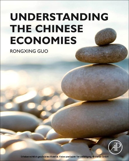 Understanding the Chinese Economies main product photo