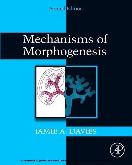 Mechanisms of Morphogenesis main product photo