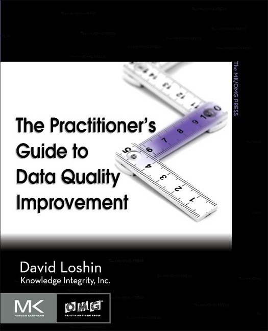 The Practitioner's Guide to Data Quality Improvement main product photo