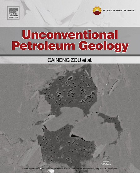 Unconventional Petroleum Geology main product photo
