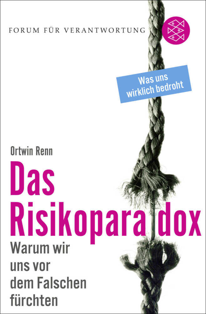 Das Risikoparadox main product photo