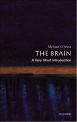 Brain