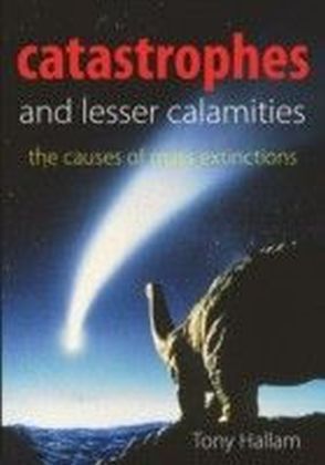 Catastrophes and Lesser Calamities