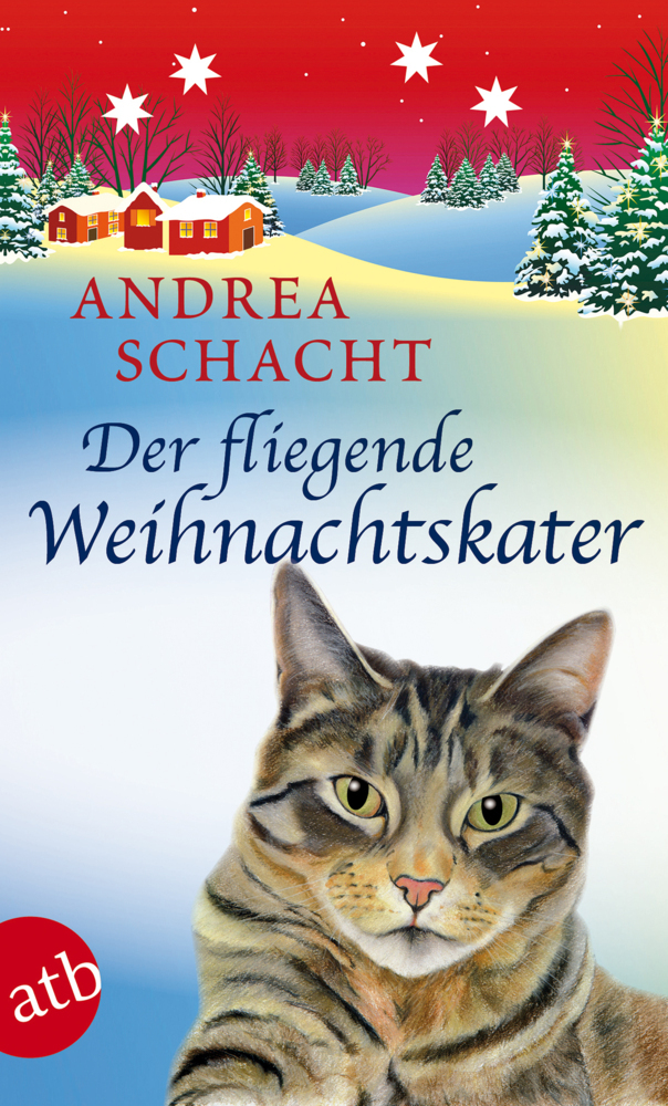 Der fliegende Weihnachtskater main product photo