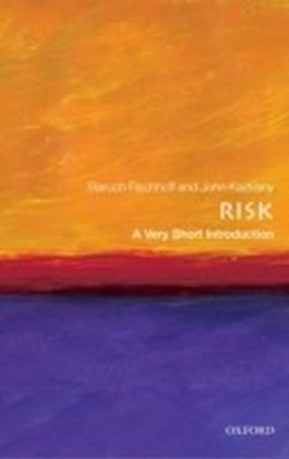 Risk: A Very Short Introduction main product photo