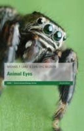 Animal Eyes main product photo