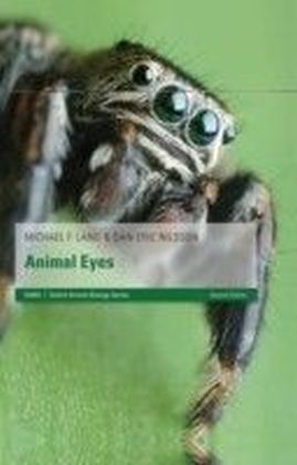 Animal Eyes