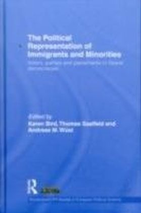 Political Representation of Immigrants and Minorities