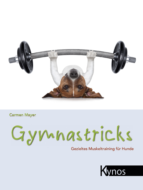 Gymnastricks main product photo