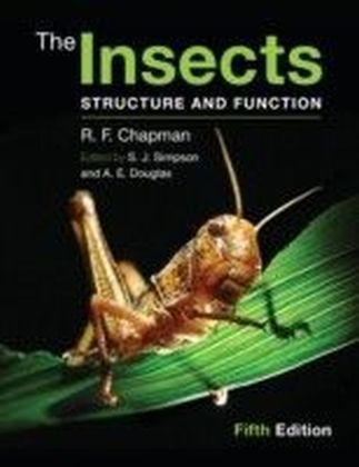 Insects