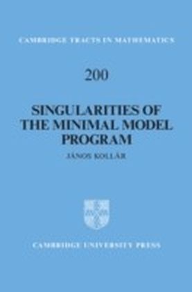 Singularities of the Minimal Model Program