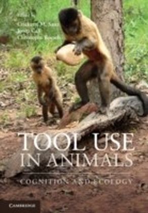 Tool Use in Animals main product photo
