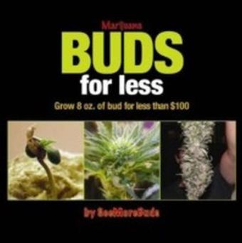Marijuana Buds for Less