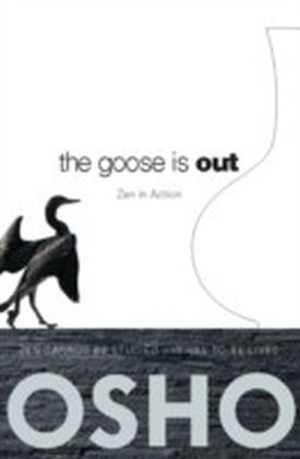 Goose Is Out