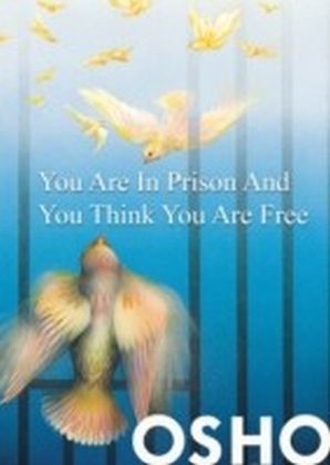 You Are in Prison and You Think You Are Free main product photo