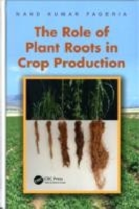 Role of Plant Roots in Crop Production