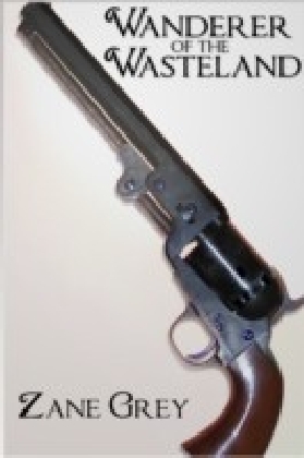 Wanderer of the Wasteland main product photo