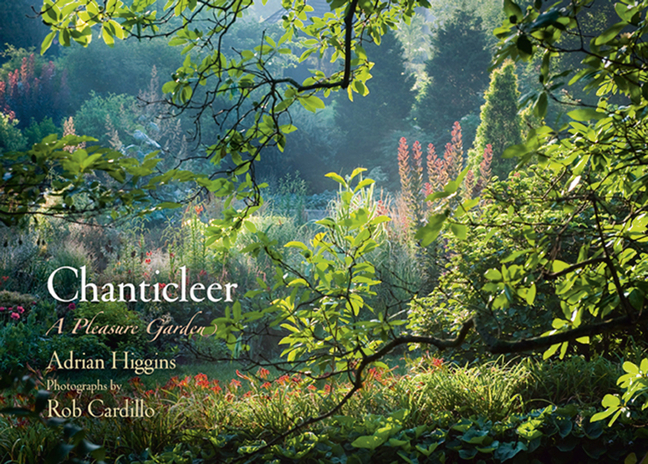 Chanticleer main product photo
