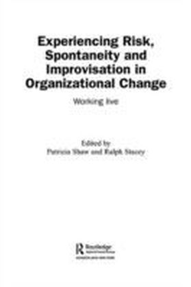 Experiencing Spontaneity, Risk & Improvisation in Organizational Life main product photo