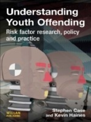 Understanding Youth Offending