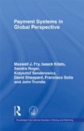 Payment Systems in Global Perspective main product photo