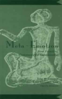 Meta-Emotion main product photo
