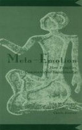 Meta-Emotion main product photo
