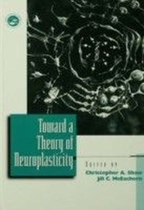 Toward a Theory of Neuroplasticity main product photo