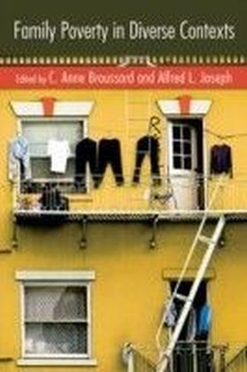 Family Poverty In Diverse Contexts
