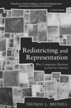 Redistricting and Representation main product photo