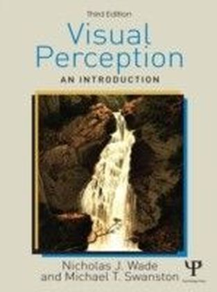 Visual Perception main product photo