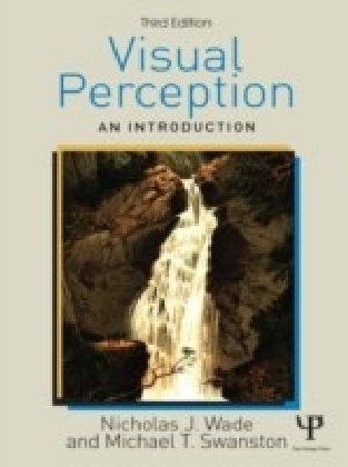 Visual Perception