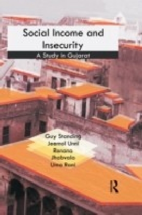 Social Income and Insecurity main product photo