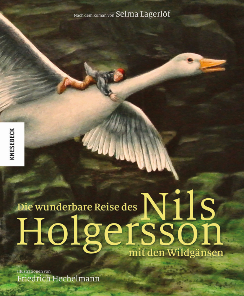 Die wunderbare Reise des Nils Holgersson mit den Wildgänsen main product photo