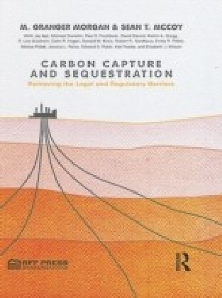 Carbon Capture and Sequestration main product photo