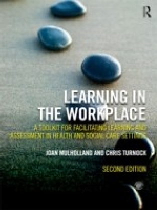 Learning in the Workplace
