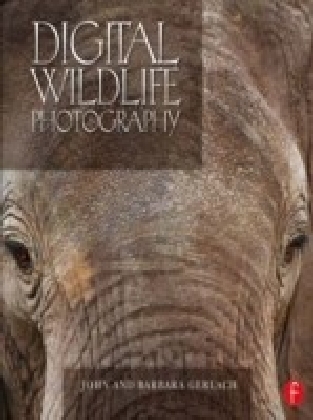 Digital Wildlife Photography