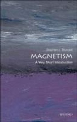 Magnetism: A Very Short Introduction