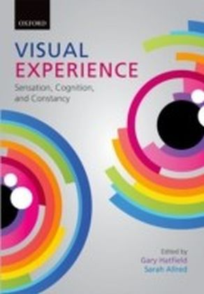 Visual Experience