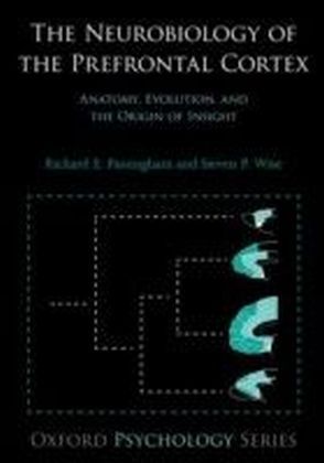 Neurobiology of the Prefrontal Cortex