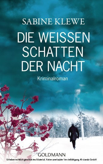 Die weißen Schatten der Nacht main product photo