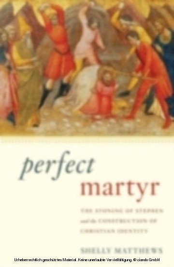 Perfect Martyr The Stoning of Stephen and the Construction of Christian Identity main product photo