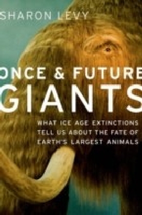 Once and Future Giants main product photo