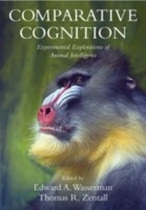 Comparative Cognition Experimental Explorations of Animal Intelligence
