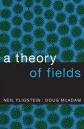 Theory of Fields main product photo