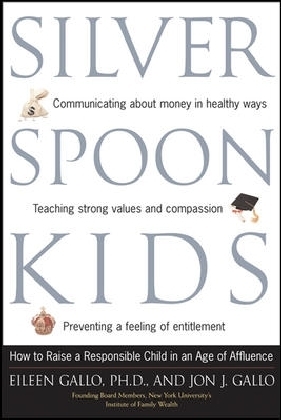 Silver Spoon Kids main product photo