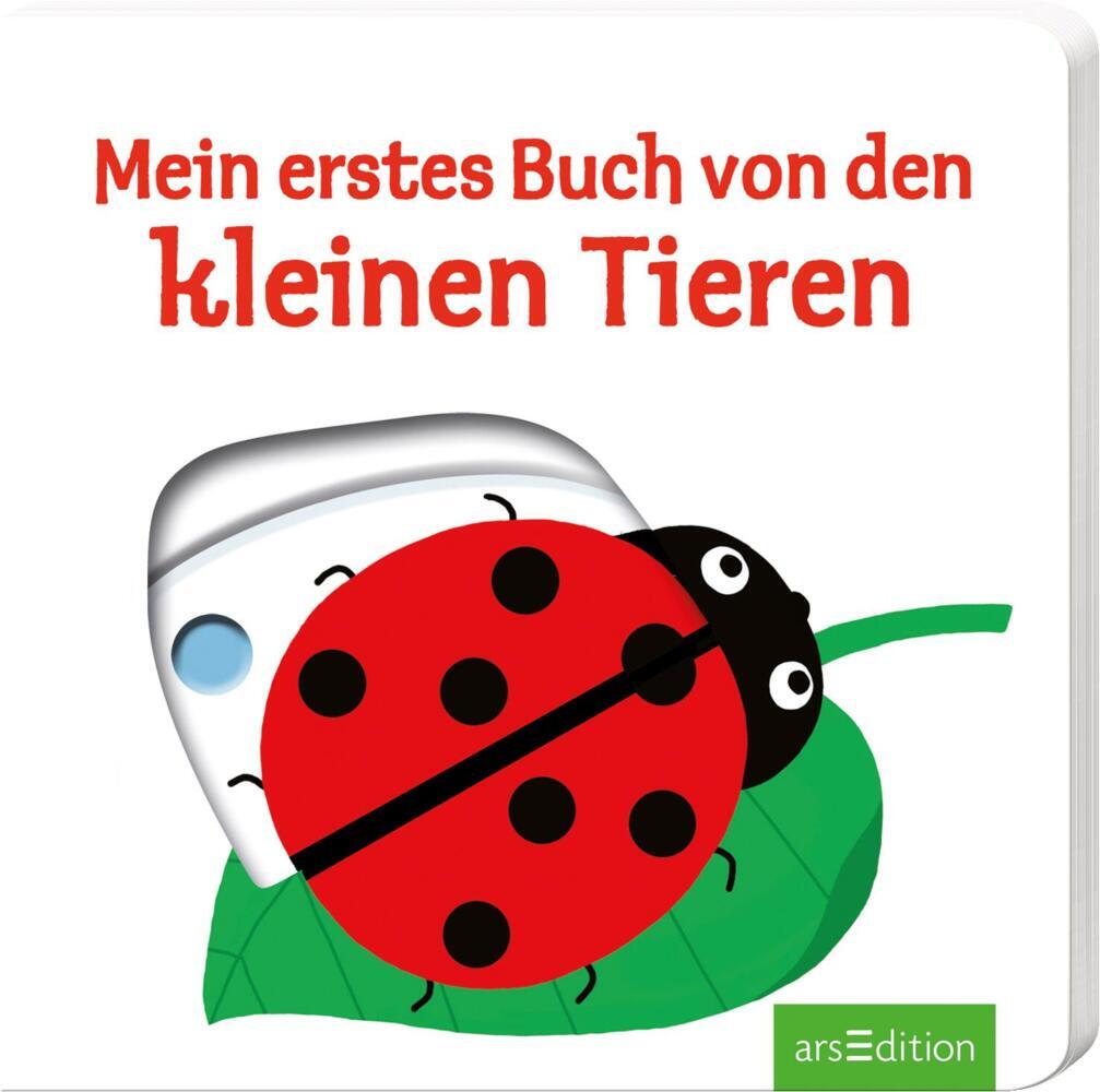 Mein erstes Buch von den kleinen Tieren main product photo