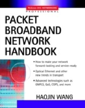 SONET-based Metro Area Networks